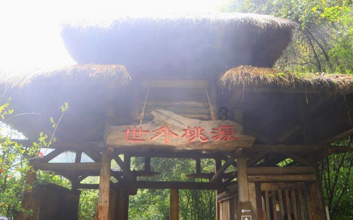探寻知识宝库 - 黑眼圈很重怎么办 7个小妙招让你告别黑眼圈专业问答网站